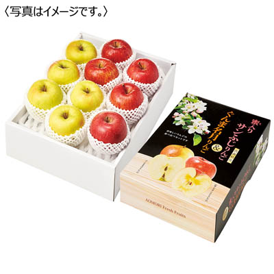 青森県産 サンふじ&ぐんま名月