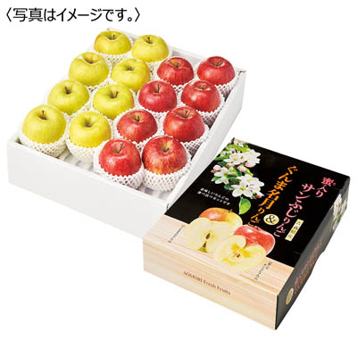 青森県産　サンふじ＆ぐんま名月