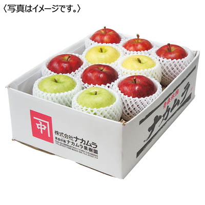青森県産 りんご詰合せ