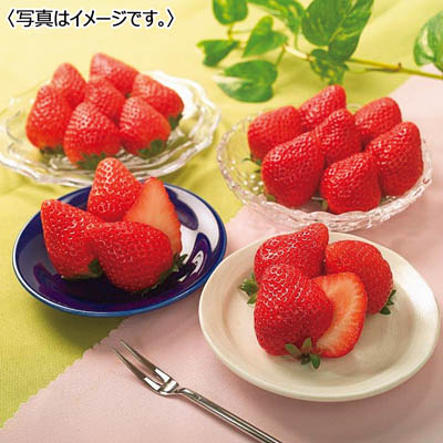 2種類のいちご食べ比べ