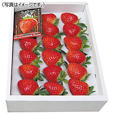 香川県産＜ＪＡ香川県＞　さぬきひめ