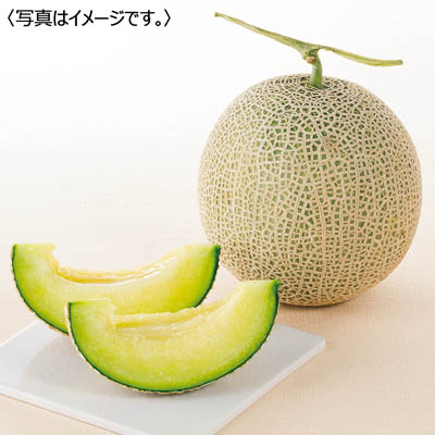 熊本県産<JA鹿本>アールスメロン