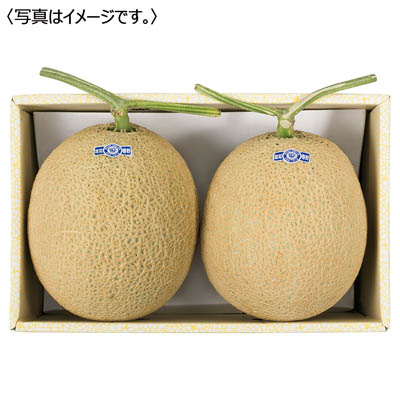 高知県産 アールスメロン2玉