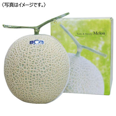 高知県産　アールスメロン１玉