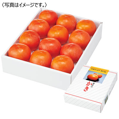 福岡県産＜ＪＡ筑前あさくら＞富有柿