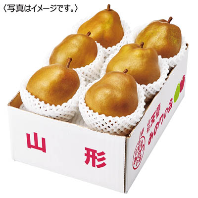 山形県産<ジェイエイてんどうフーズ>ゴールドラ・フランス
