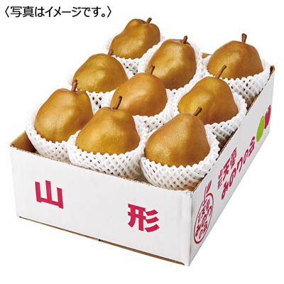 山形県産<ジェイエイてんどうフーズ>ゴールドラ・フランス