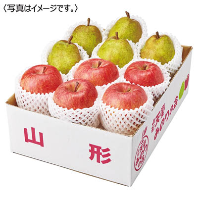 山形県産<ジェイエイてんどうフーズ>ラ・フランスとサンふじ詰合せ