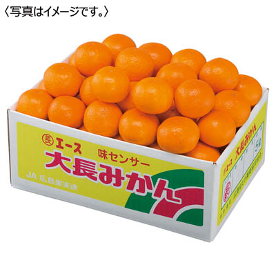広島県産　大長エースみかん