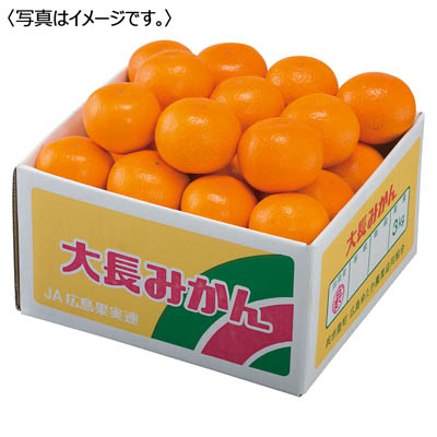 広島県産　大長みかん