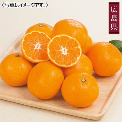 広島県産　こだわりいしじみかん