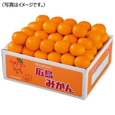 広島県産 瀬戸田みかん