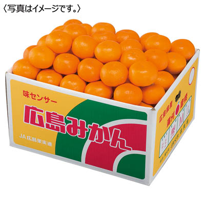 広島県産　みかん