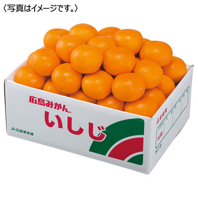 広島県産 いしじみかん