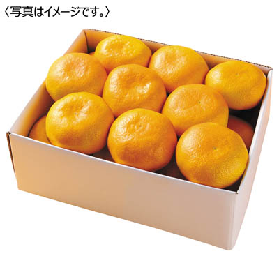愛媛県産　愛媛みかん［２ｋｇ］