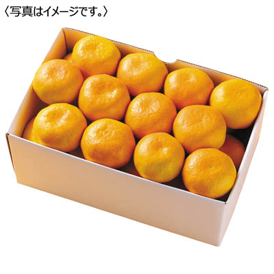 愛媛県産　愛媛みかん［３ｋｇ］