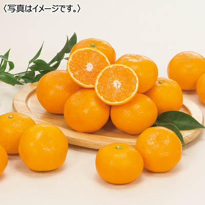 和歌山県産<JAありだ>有田みかん