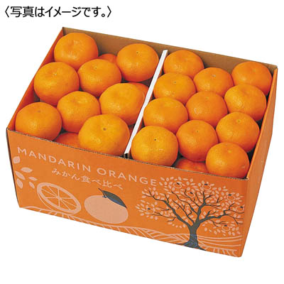 有田みかんと愛媛みかん食べ比べ