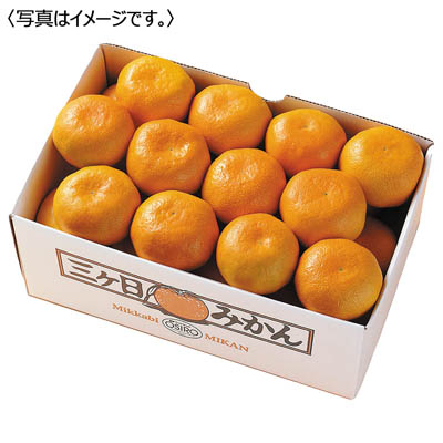 静岡県産　三ヶ日みかん［２．５ｋｇ］