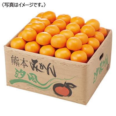 熊本県産 手詰め汐みかん