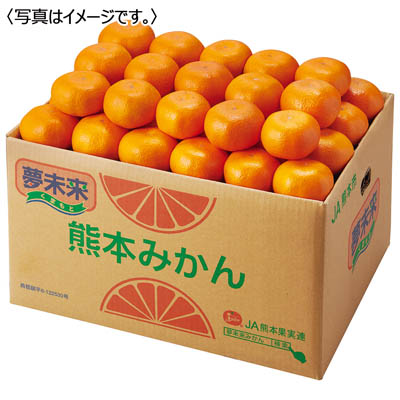 熊本県産<JA熊本市>夢未来みかん