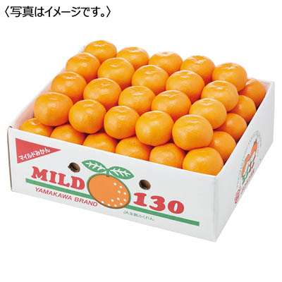 福岡県産＜ＪＡみなみ筑後＞山川みかんマイルド