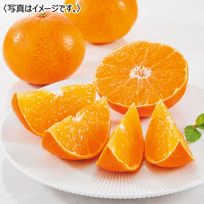 愛媛県産 紅まどんな