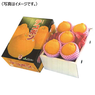佐賀県産<JAからつ>デコポン