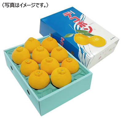 佐賀県産<JAからつ>デコポン
