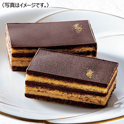 ＜ダロワイヨ＞オペラ　トーキョー（９個入）