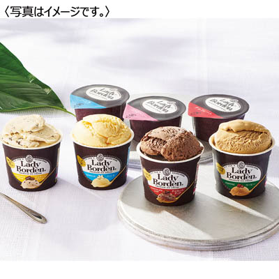 ＜ロッテ＞レディーボーデンカップセット