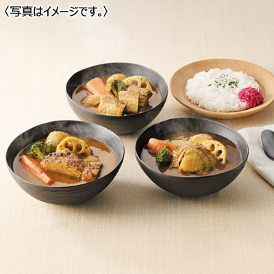 <GARAKU>彩り5種野菜のスープカレーセット