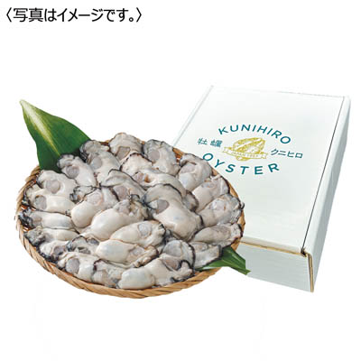 ＜クニヒロ＞広島県産　生かきむき身　加熱用
