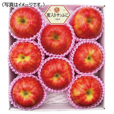 青森県産　蜜入りサンふじりんご