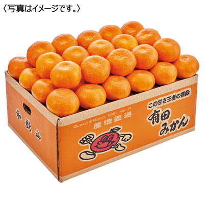 和歌山県産　小南農園　有田みかん