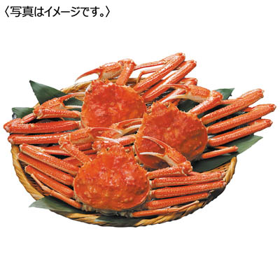 <エスケイフーズ>ボイルおおずわいがに3尾<姿>