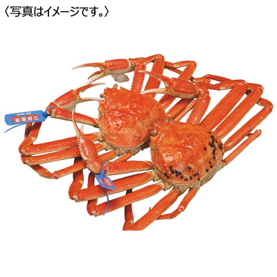 ＜中浦食品＞大漁市場なかうら　松葉がに　小２枚入