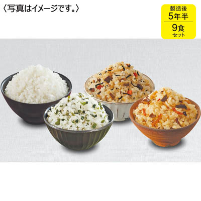 アルファー食品　安心米９食セット