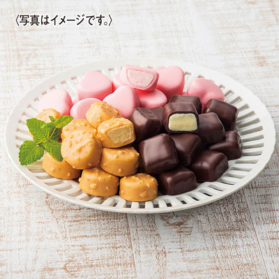 【限定1,000セット】オハヨー乳業 プチアイスボール