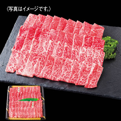 国産和牛焼肉用2点盛り（モモ・バラ）