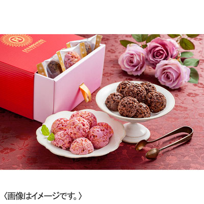 銀座京橋 レ ロジェ エギュスキロール クランチチョコレートアソート