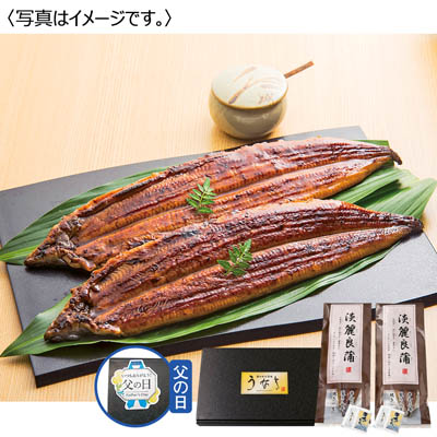 淡麗良蒲 うなぎ蒲焼2尾セット