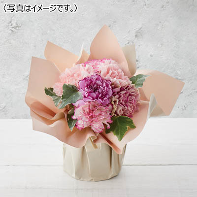 スタンディングブーケ「ニュアンスカラーピンク」