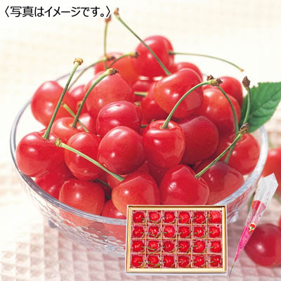 佐藤錦&カーネーション