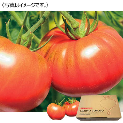 長崎県産大島トマト ルビーのしずく