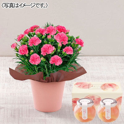 カーネーション（ピンク）＆銀座トトキ監修「山形県産白桃のゼリー」セット