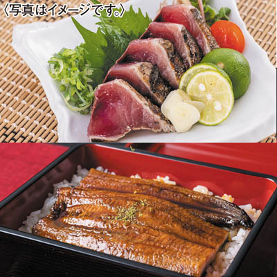 ＜ハマヤ＞龍馬タタキ１節・四万十うなぎ１尾