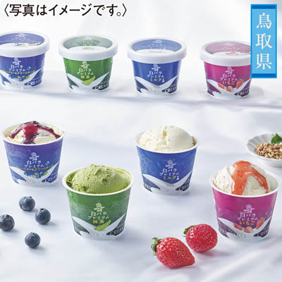 ＜大山乳業＞白バラプレミアムアイスギフト８個入