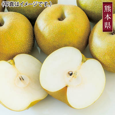 熊本県産　幸水梨