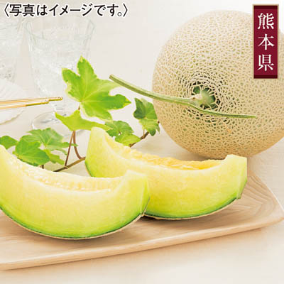 熊本県産＜ＪＡ鹿本＞アールスメロン